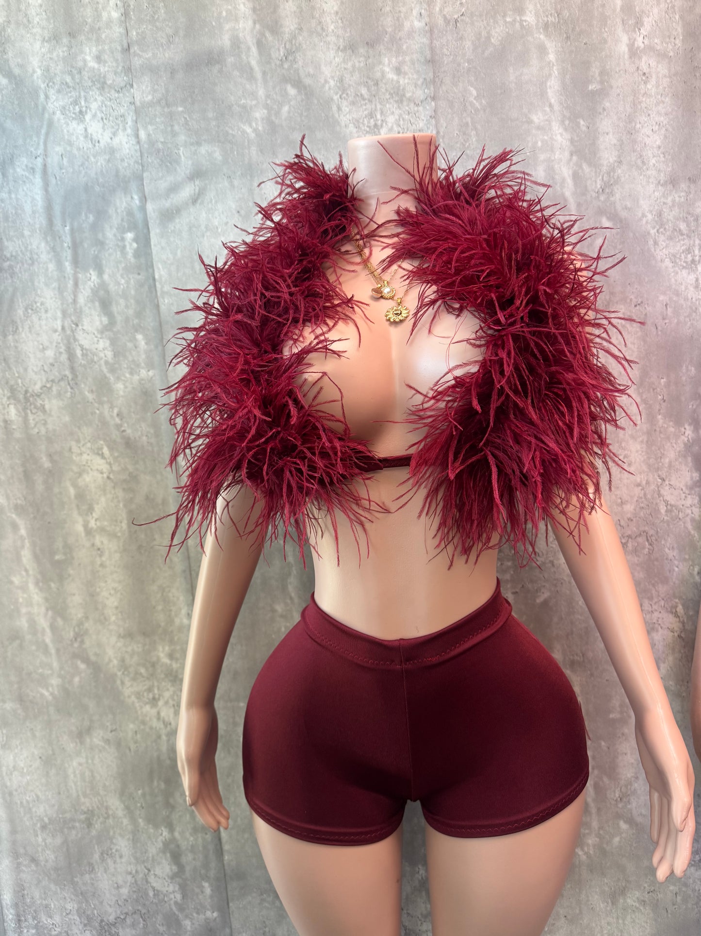 Wind red limited edition fur set pre-order 3-6 days