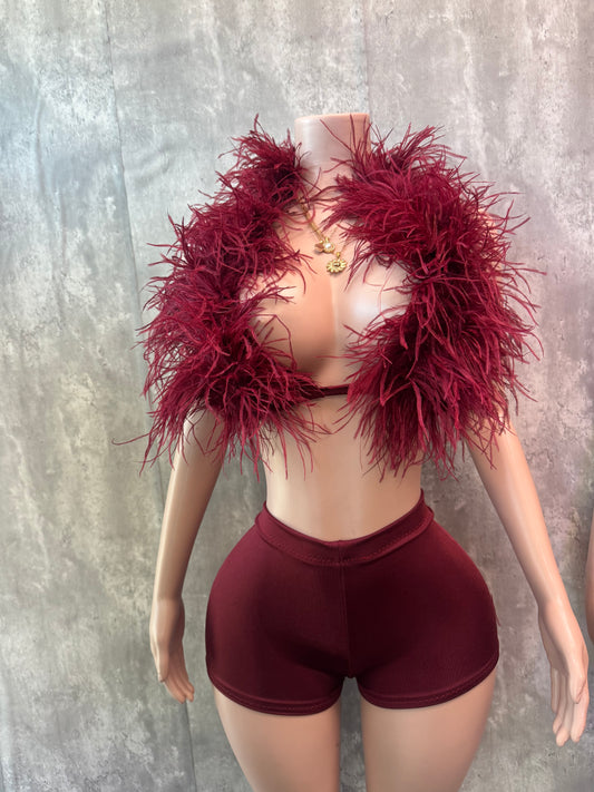 Wind red limited edition fur set pre-order 3-6 days